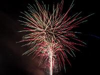 IMG 45554