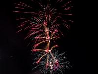 IMG 45565