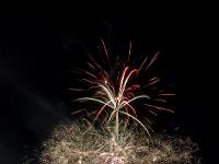IMG 45566