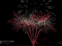IMG 42020