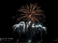 IMG 42049