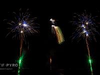 IMG 46051