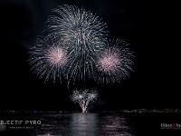 IMG 44912