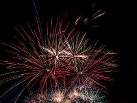 IMG 44855