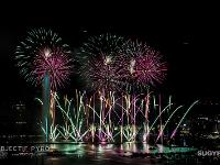 IMG 44420