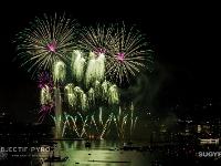 IMG 44502