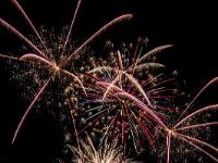 IMG 42856