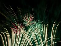 IMG 46183