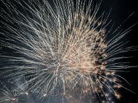 IMG 46195