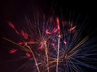 IMG 46196