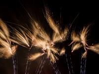 IMG 46206