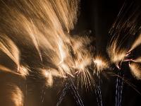 IMG 46207