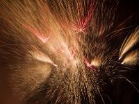 IMG 46208
