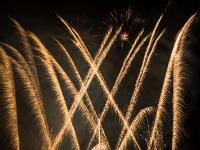 IMG 46216