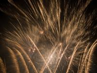 IMG 46217