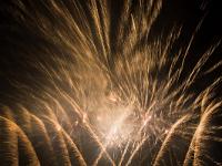 IMG 46218