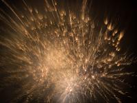 IMG 46219