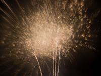 IMG 46220