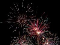 IMG 42235