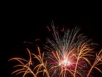 IMG 42239