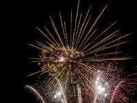 IMG 42248