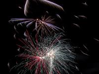 IMG 42216