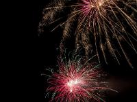 IMG 42219