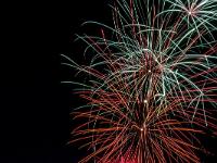 IMG 44539