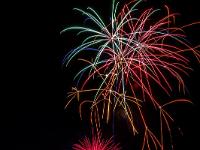 IMG 44541