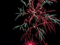 IMG 44542