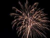 IMG 44545