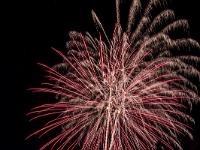 IMG 44546