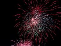 IMG 44548