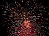 IMG 44549