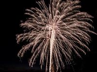 IMG 44551