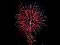 IMG 43920