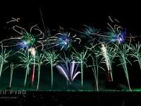 IMG 45903