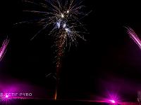 IMG 41541