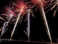 IMG 41565