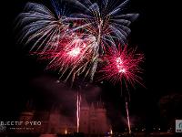 IMG 41974