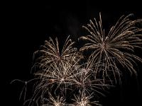 IMG 6264