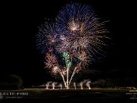 IMG 7181
