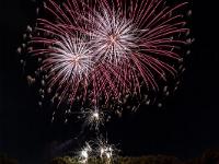 IMG 4181