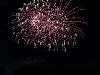 IMG 4183