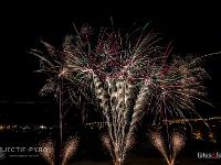 IMG 6503