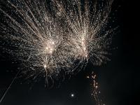 IMG 7919