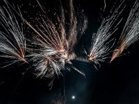 IMG 7932