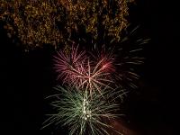 IMG 3284