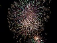 IMG 4173
