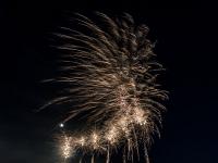 IMG 3338